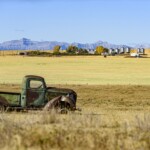 Жаркая осень 2020 Жаркая осень 2020